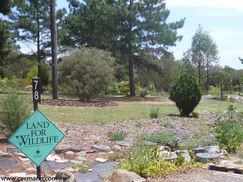 78 Lees Mountain Road, Stanthorpe QLD 4380