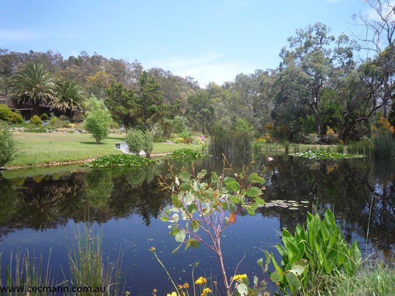 78 Lees Mountain Road, Stanthorpe QLD 4380