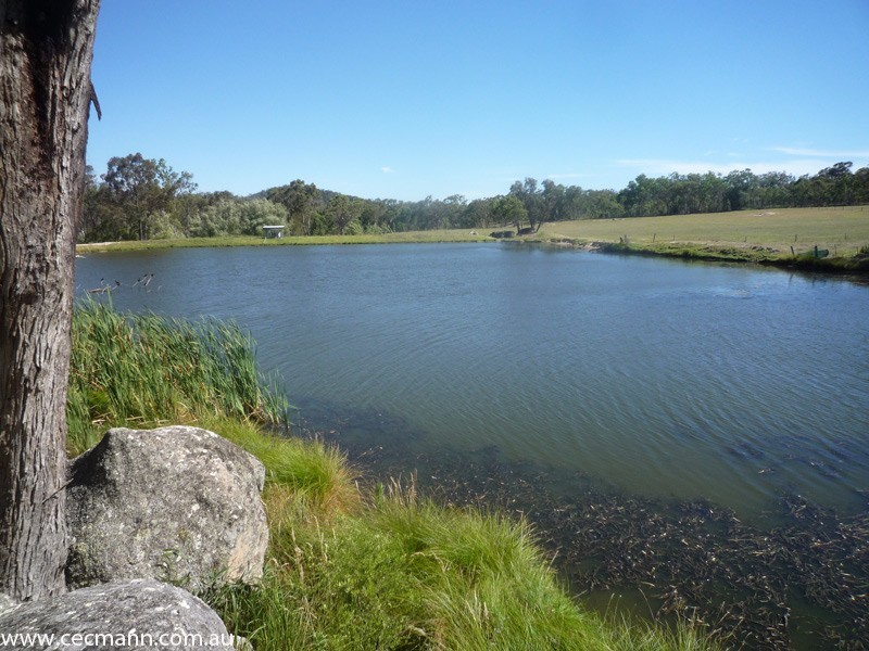 214 Caves Road, Stanthorpe QLD 4380