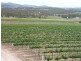 60 Zambelli Road, Stanthorpe QLD 4380