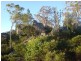 79 Lees Mountain Road, Stanthorpe QLD 4380
