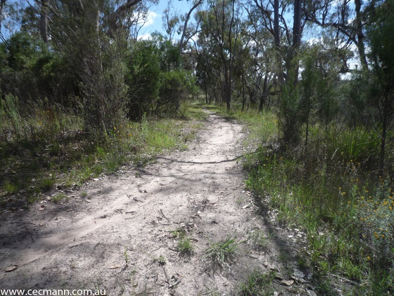 76 Donges Road, Stanthorpe QLD 4380