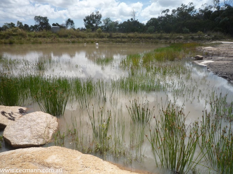 368 Townsend Road, Stanthorpe QLD 4380