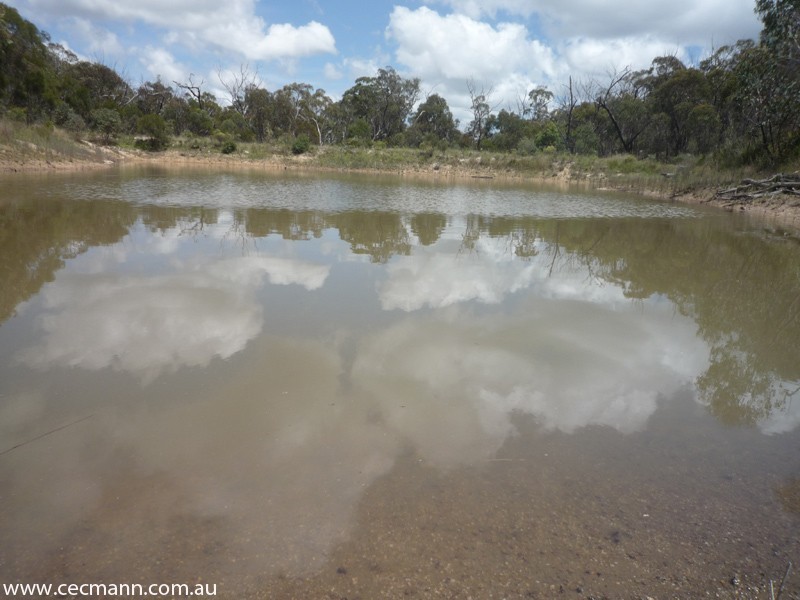 368 Townsend Road, Stanthorpe QLD 4380