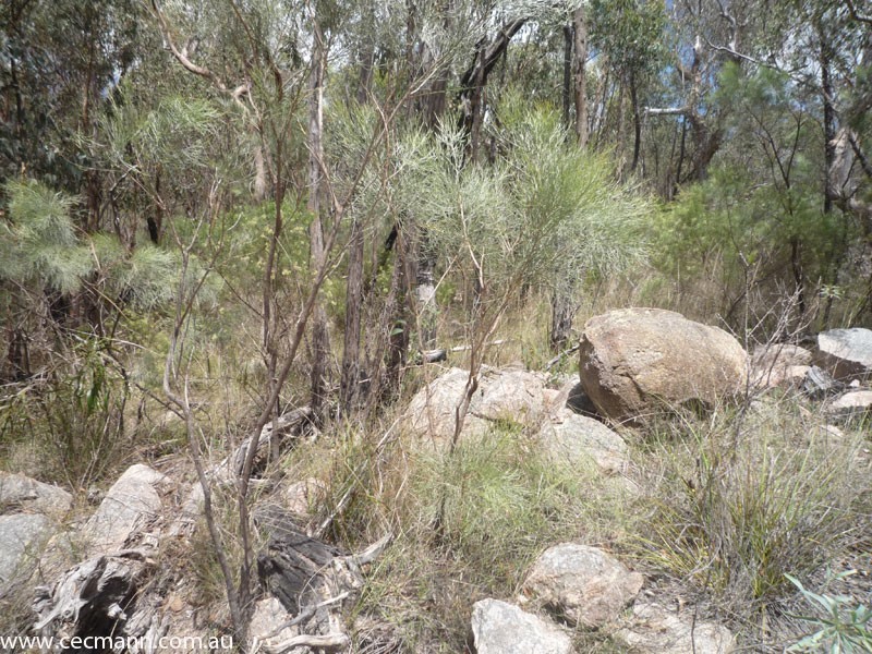 368 Townsend Road, Stanthorpe QLD 4380