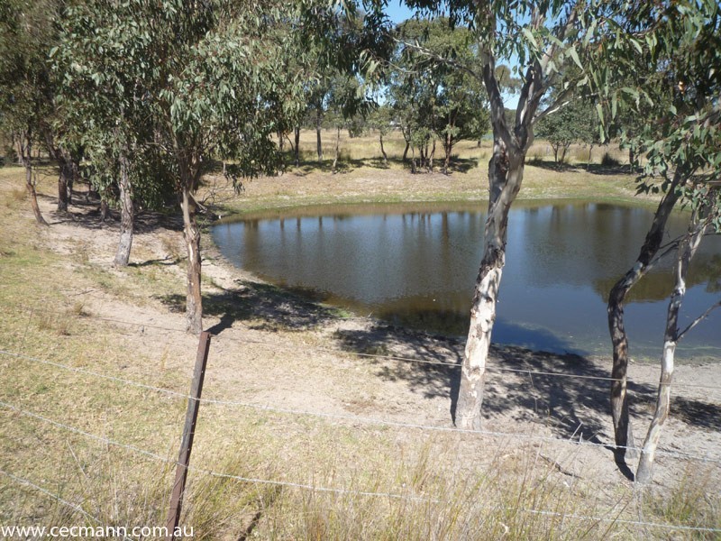 5 Scuderi Lane, Stanthorpe QLD 4380