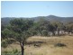 5 Scuderi Lane, Stanthorpe QLD 4380