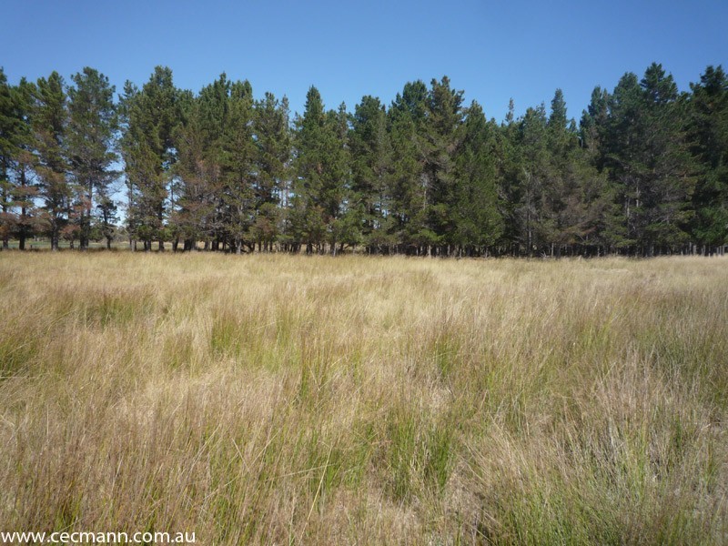 5 Scuderi Lane, Stanthorpe QLD 4380