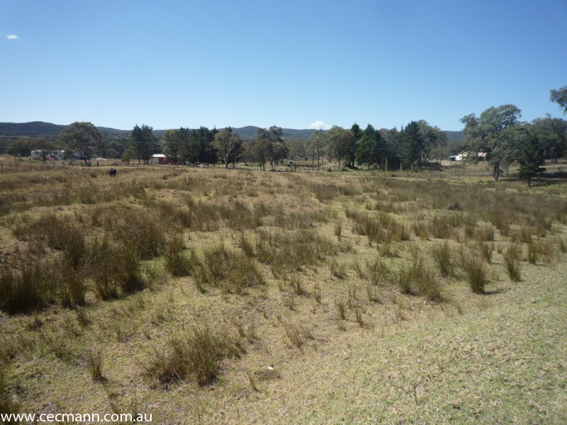 5 Scuderi Lane, Stanthorpe QLD 4380