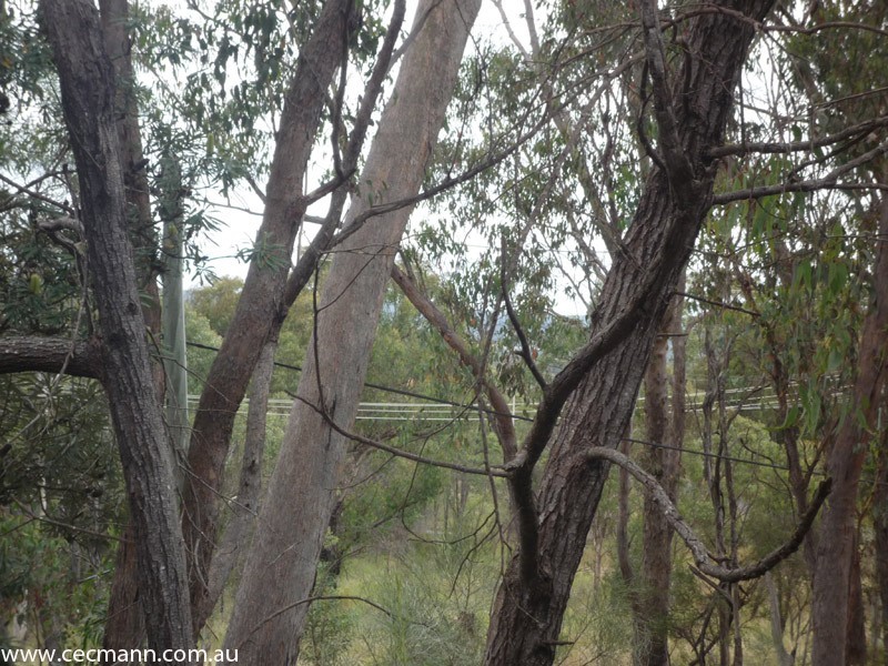 100 Glenlyon Drive, Stanthorpe QLD 4380