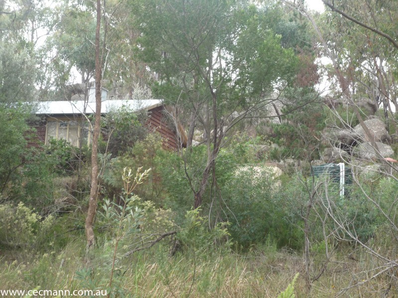 100 Glenlyon Drive, Stanthorpe QLD 4380