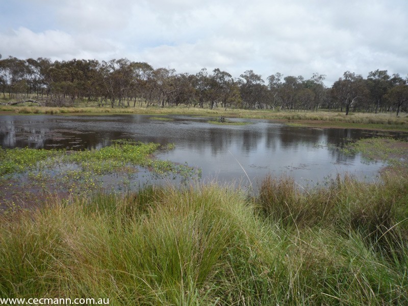 62 Glen Niven Road, Stanthorpe QLD 4380