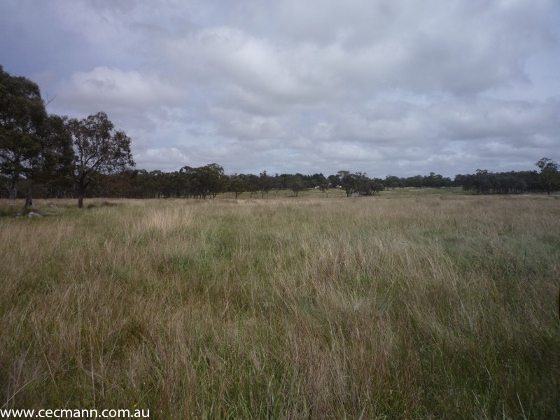 62 Glen Niven Road, Stanthorpe QLD 4380