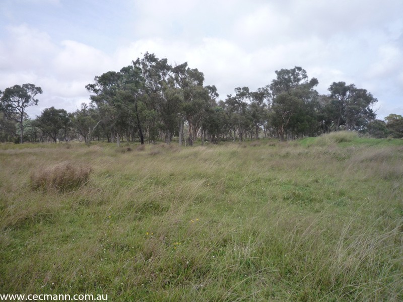 62 Glen Niven Road, Stanthorpe QLD 4380