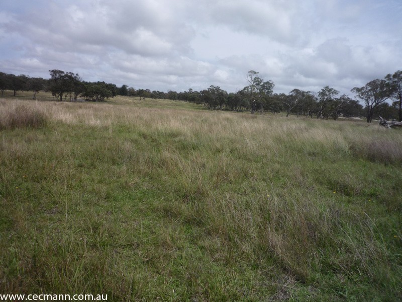 62 Glen Niven Road, Stanthorpe QLD 4380