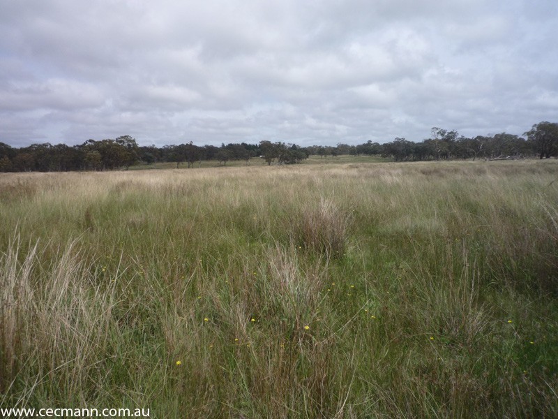 62 Glen Niven Road, Stanthorpe QLD 4380