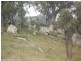 Wylie Creek Road, Stanthorpe QLD 4380