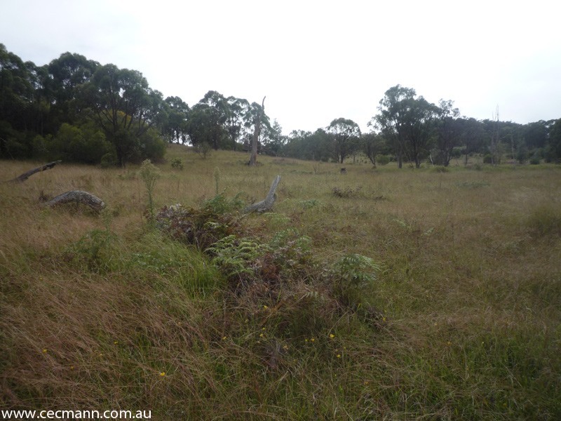 Wylie Creek Road, Stanthorpe QLD 4380