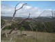 Wylie Creek Road, Stanthorpe QLD 4380