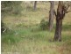 Wylie Creek Road, Stanthorpe QLD 4380