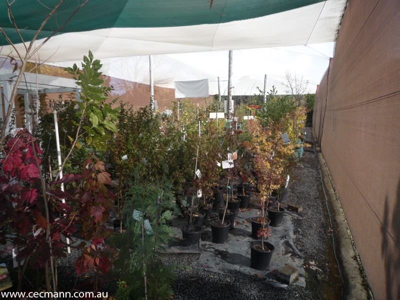 60 Sugarloaf Road, Stanthorpe QLD 4380