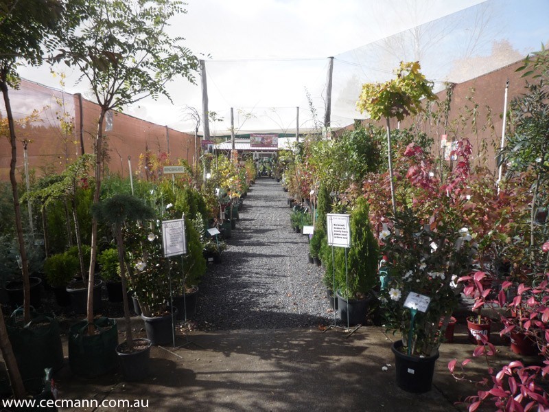 60 Sugarloaf Road, Stanthorpe QLD 4380