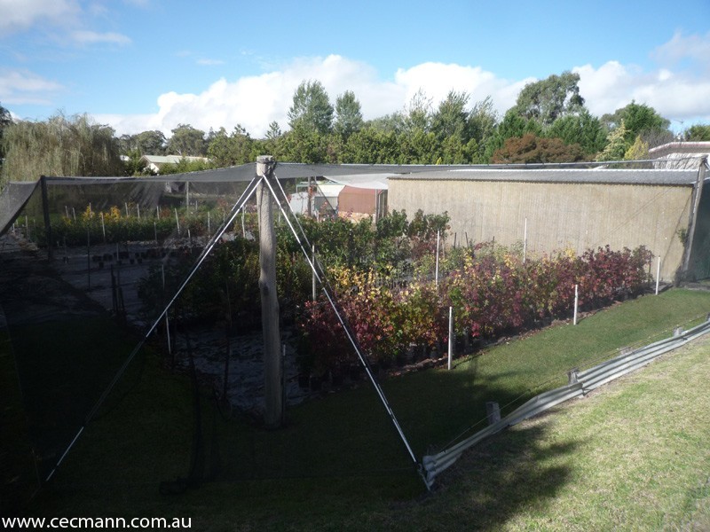 60 Sugarloaf Road, Stanthorpe QLD 4380