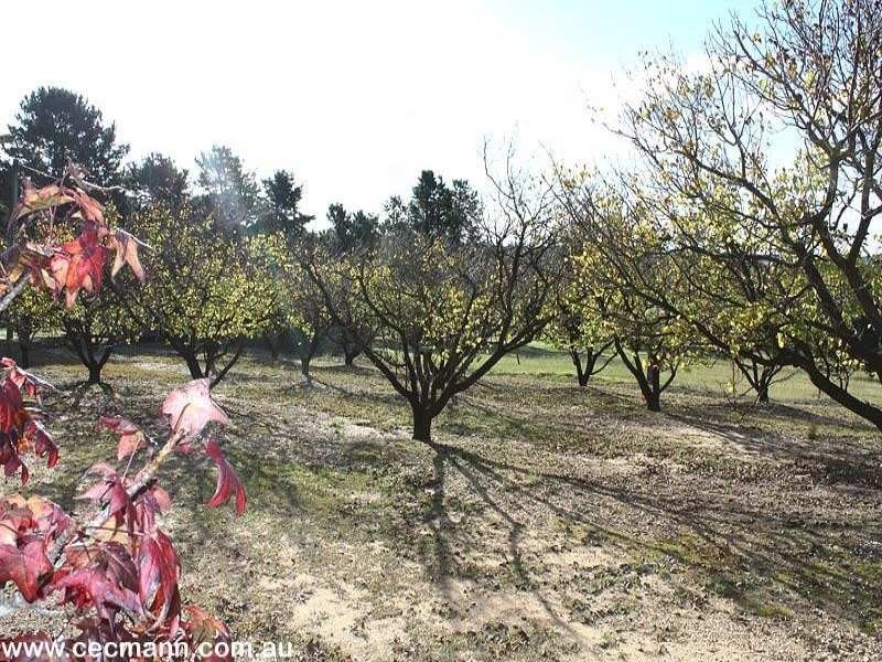 52 Tunnel Road, Stanthorpe QLD 4380