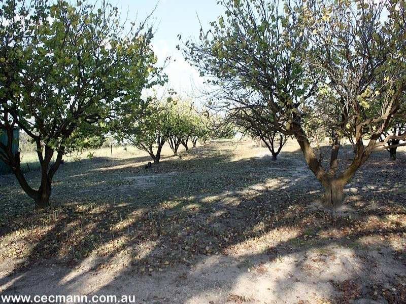 52 Tunnel Road, Stanthorpe QLD 4380