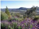 67 Rapisarda Lane, Stanthorpe QLD 4380