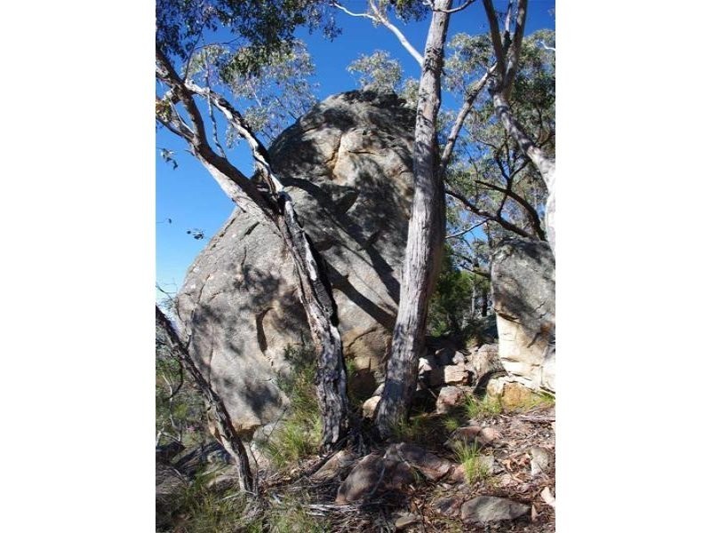 67 Rapisarda Lane, Stanthorpe QLD 4380
