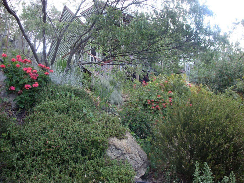 79 Lees Mountain Road, Stanthorpe QLD 4380