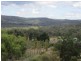 79 Lees Mountain Road, Stanthorpe QLD 4380