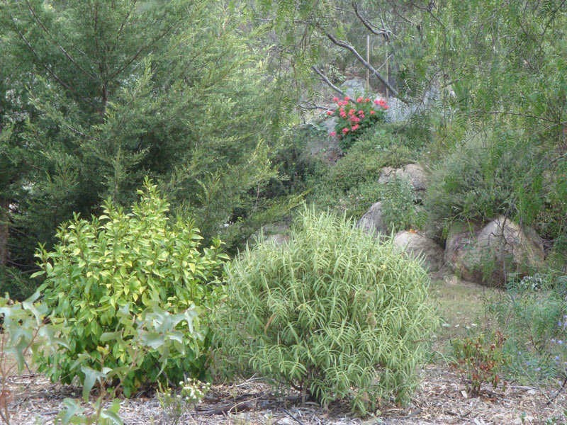 79 Lees Mountain Road, Stanthorpe QLD 4380