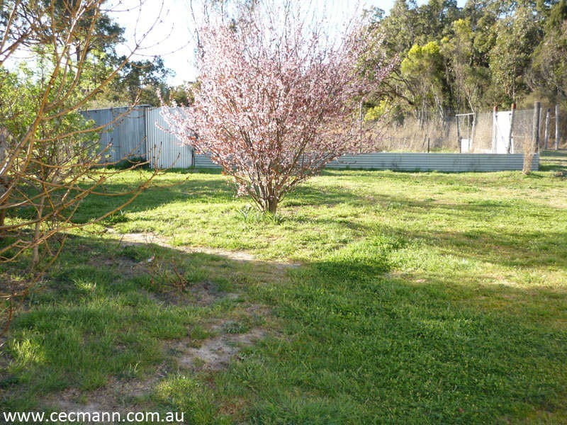 630 Jimmy Mann Road, Stanthorpe QLD 4380