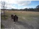41 Hamilton Road, Stanthorpe QLD 4380