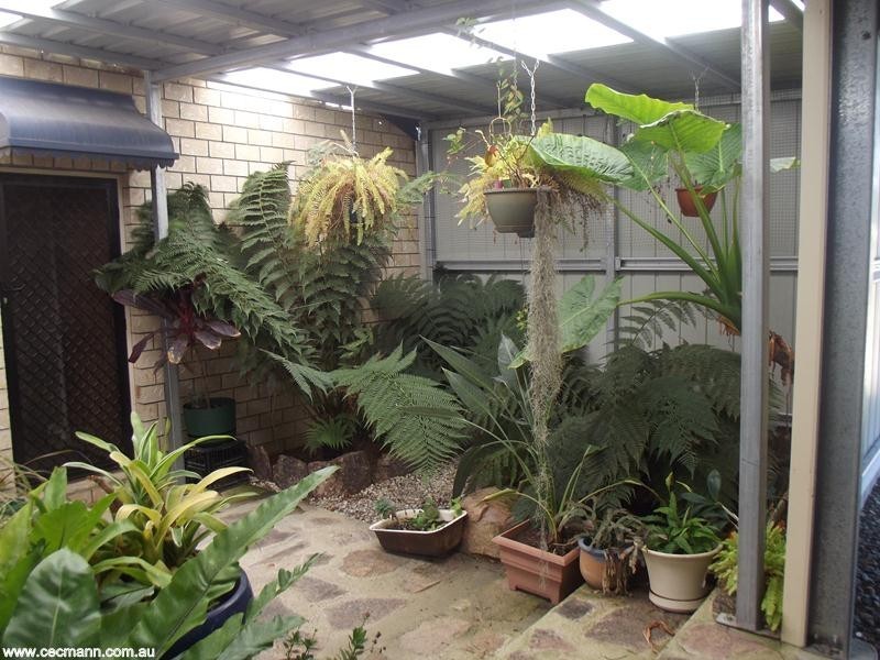 190 McKechnie Road, Stanthorpe QLD 4380