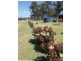 190 McKechnie Road, Stanthorpe QLD 4380