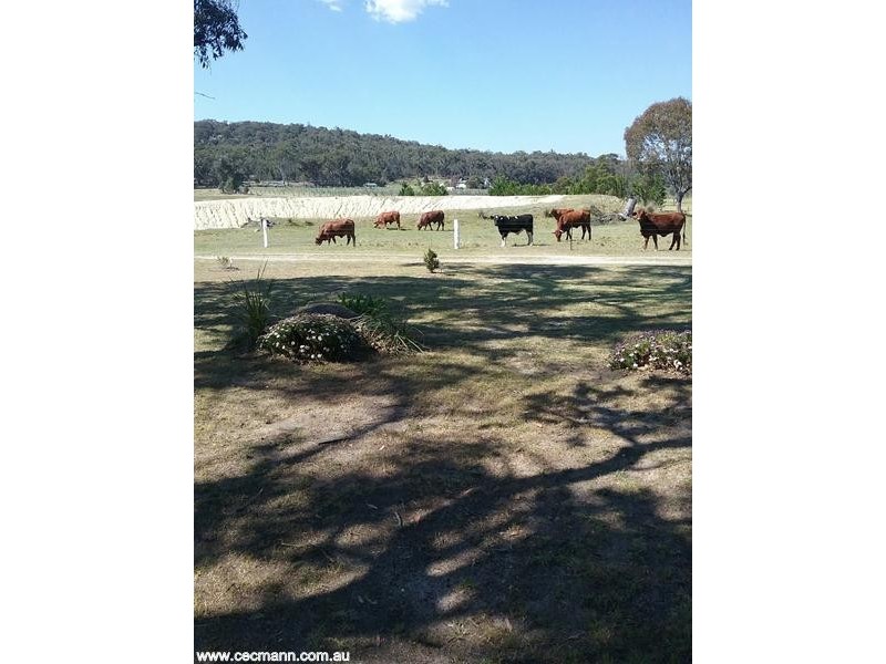 190 McKechnie Road, Stanthorpe QLD 4380