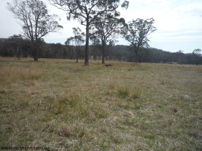 190 McKechnie Road, Stanthorpe QLD 4380