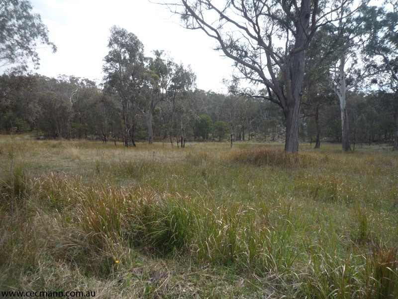 190 McKechnie Road, Stanthorpe QLD 4380