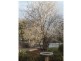56 Greenup Street, Stanthorpe QLD 4380