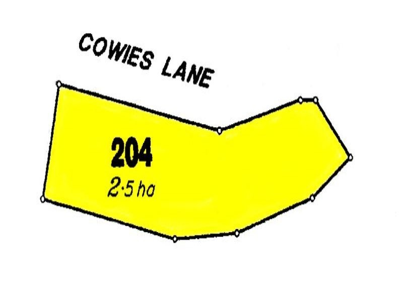 Lot 204 Cowies Lane, Stanthorpe QLD 4380
