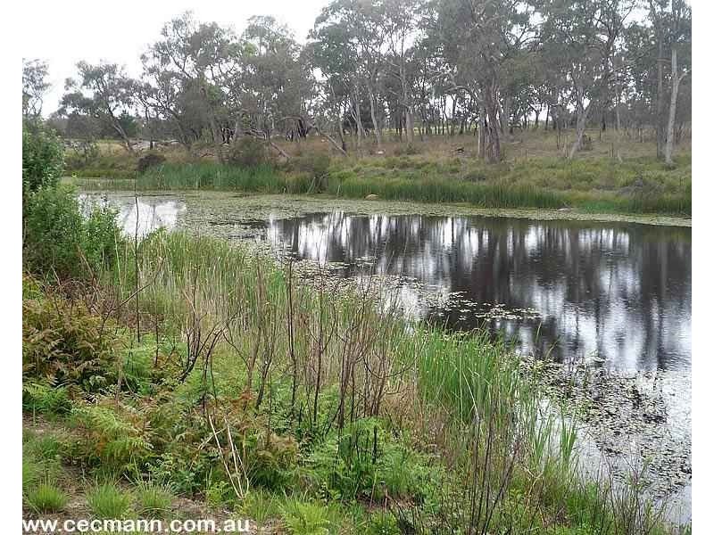 Lot 4 Texas Road, Stanthorpe QLD 4380