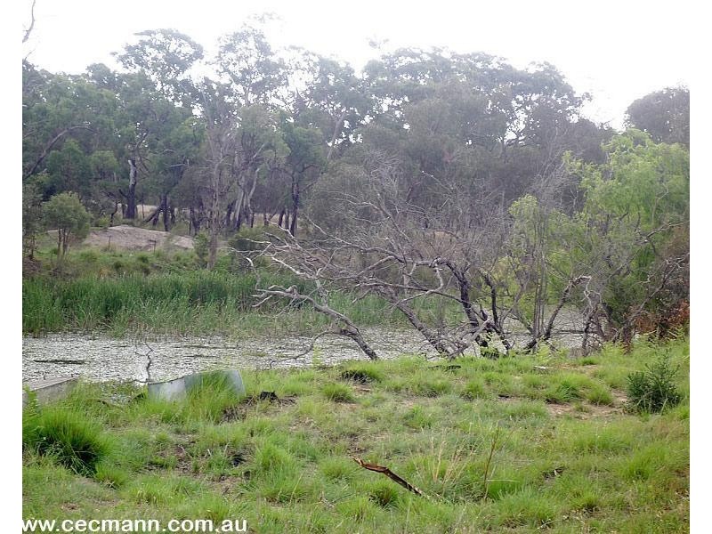 Lot 4 Texas Road, Stanthorpe QLD 4380