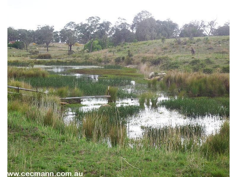 Lot 4 Texas Road, Stanthorpe QLD 4380