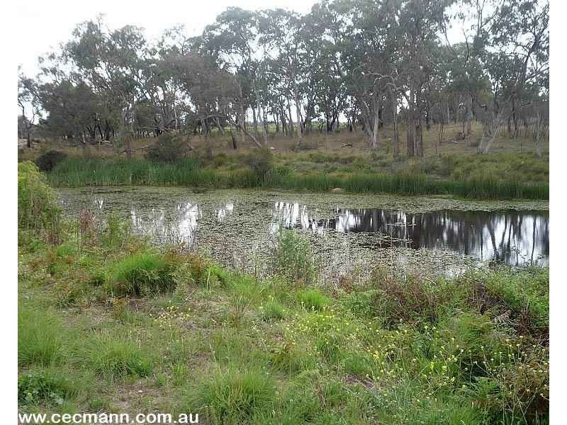 Lot 4 Texas Road, Stanthorpe QLD 4380