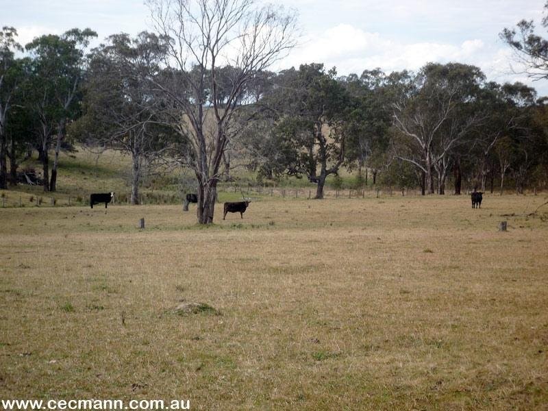 36 Tenterfield Street, Stanthorpe QLD 4380