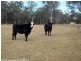 36 Tenterfield Street, Stanthorpe QLD 4380