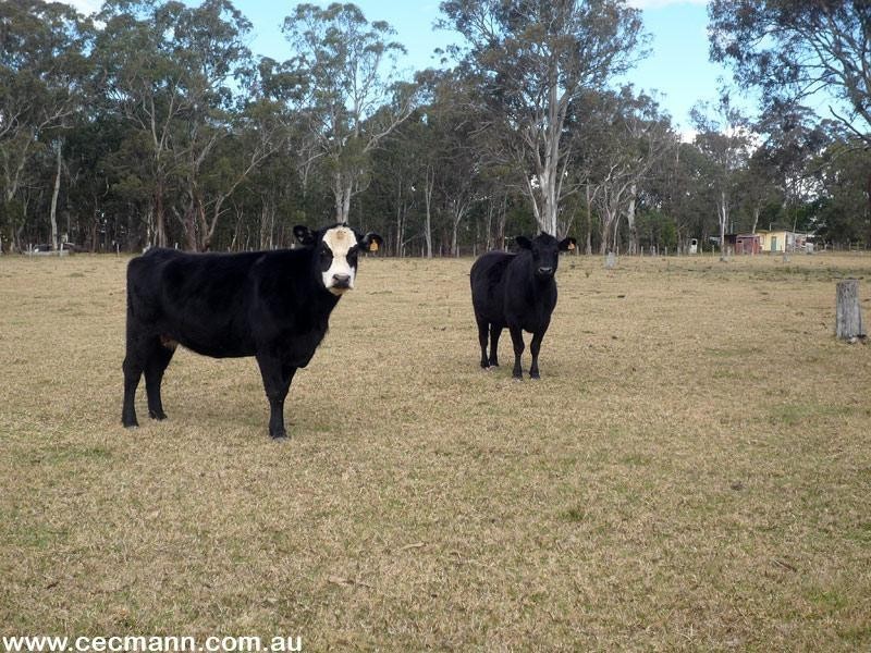 36 Tenterfield Street, Stanthorpe QLD 4380